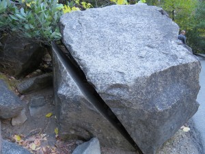 Moeder natuur doet vreemde dingen....